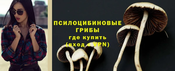 индика Армянск