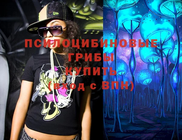 индика Армянск