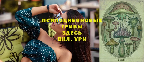 мяу мяу мука Арсеньев